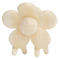 Macadamia