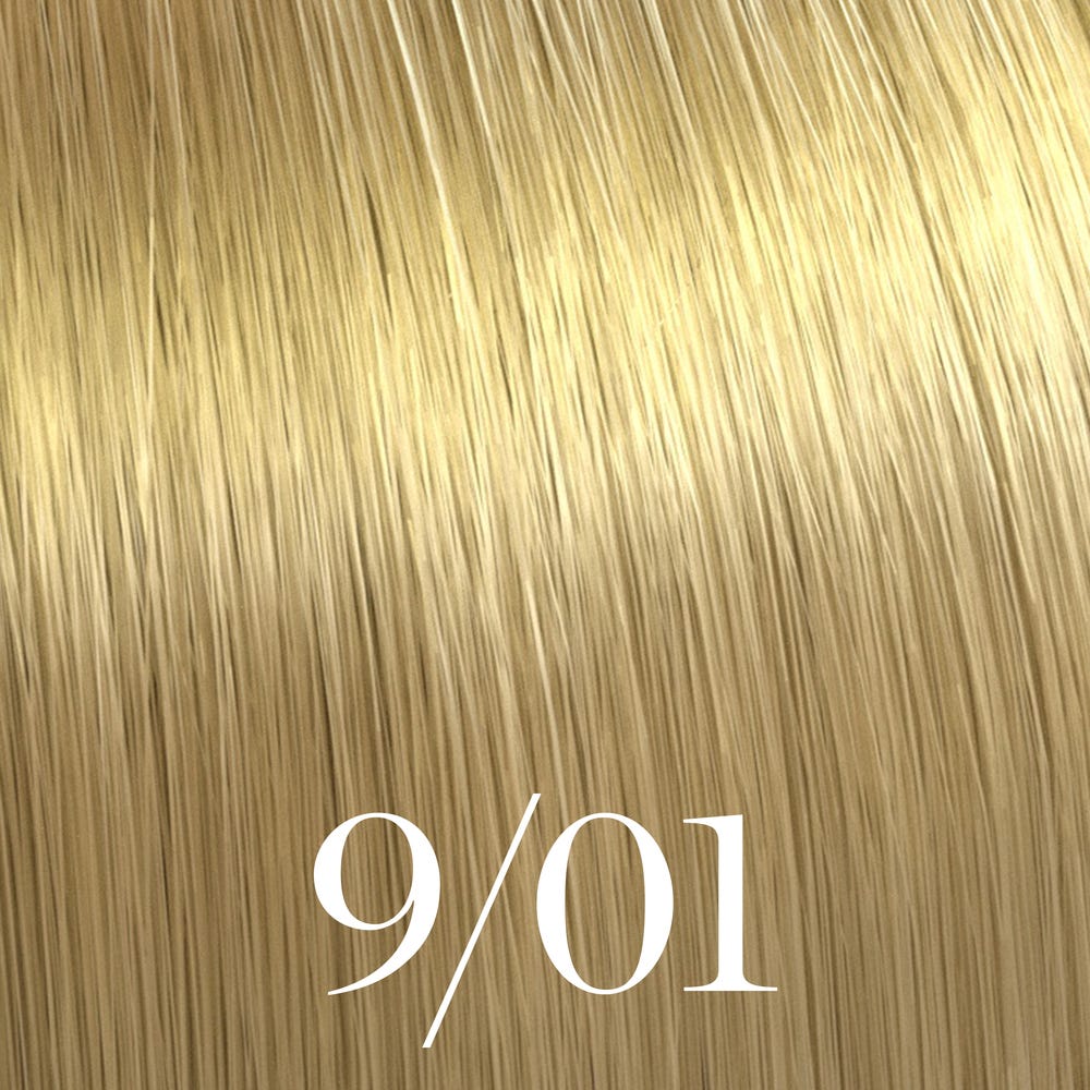 12123529-Farbe-Lichtblond Natur-Asch 9/01