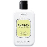 kemon Care Energy Shampoo 250 ml