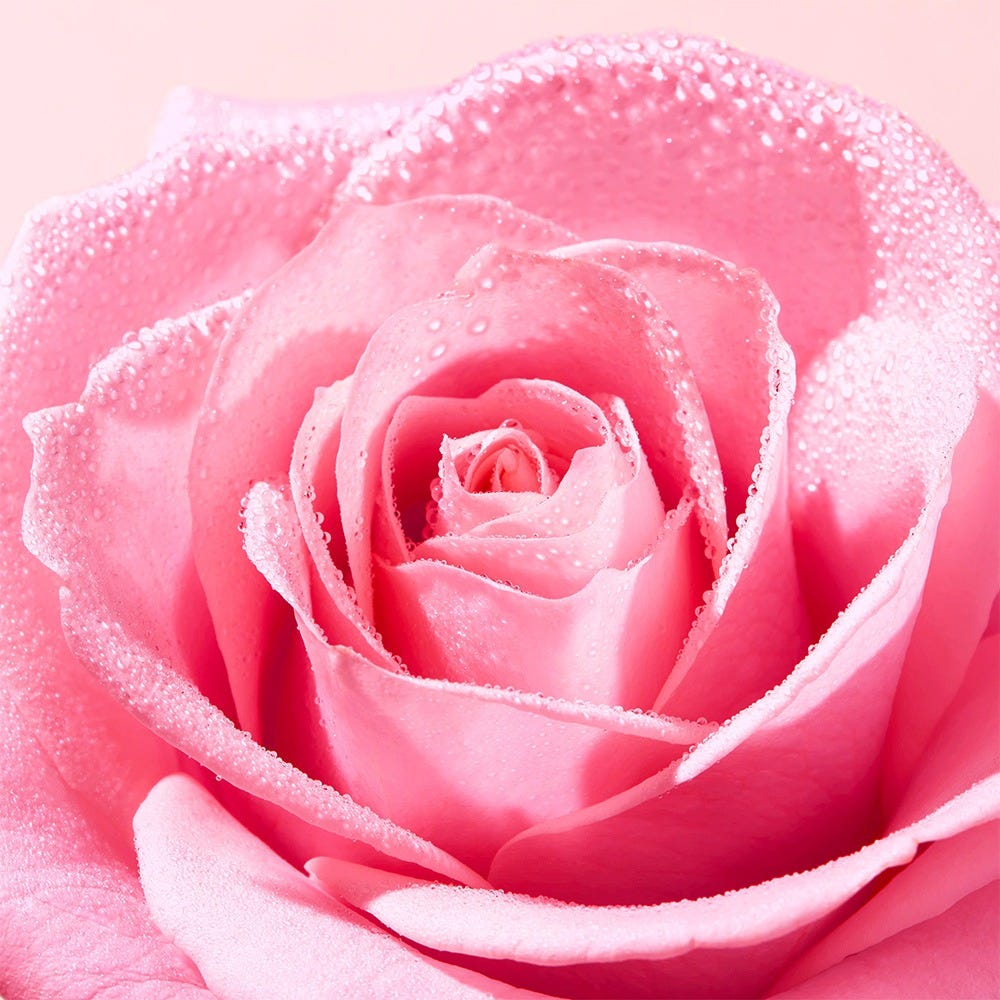 NUXE Very Rose Lotion 200 ml