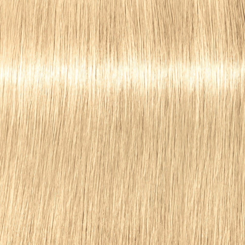 12127855-Farbe-10-51 Ultrablond Gold Cendré Pastell