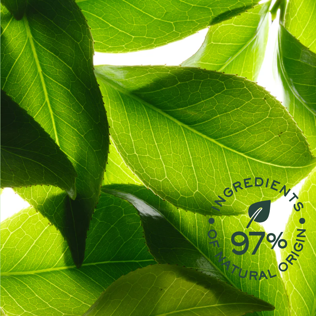 NUXE Rêve de thé Duo Deodorant Fraîcheur 24h