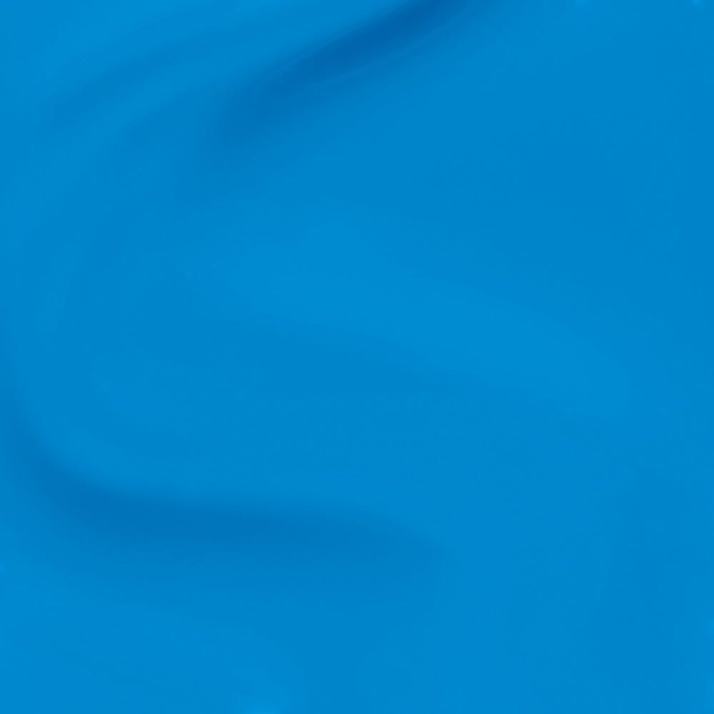 12135613-Farbe-Fresh as a Blue Daisy