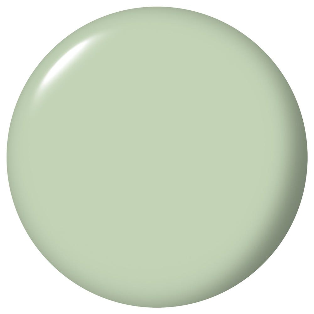 12135614-Farbe-Sage It for Later
