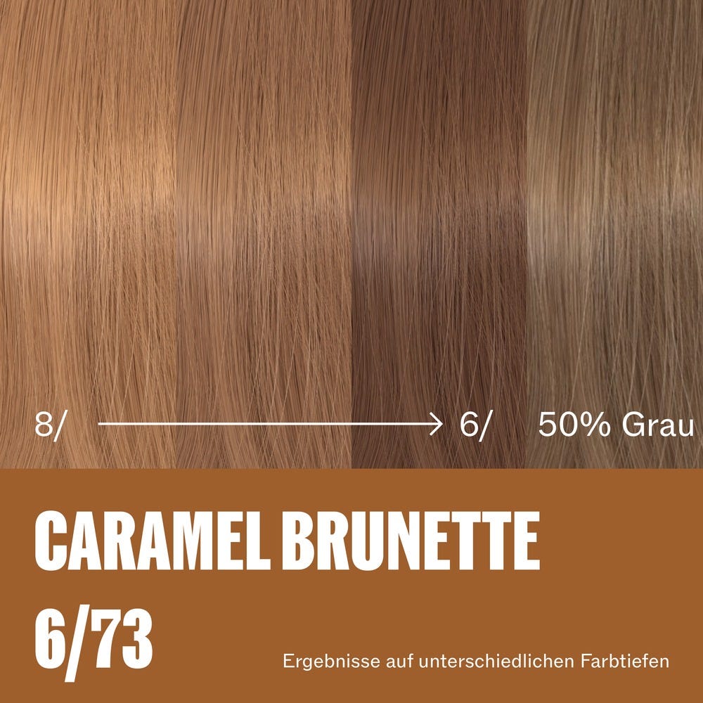 12136774-Farbe-6/37 Caramel Brunette