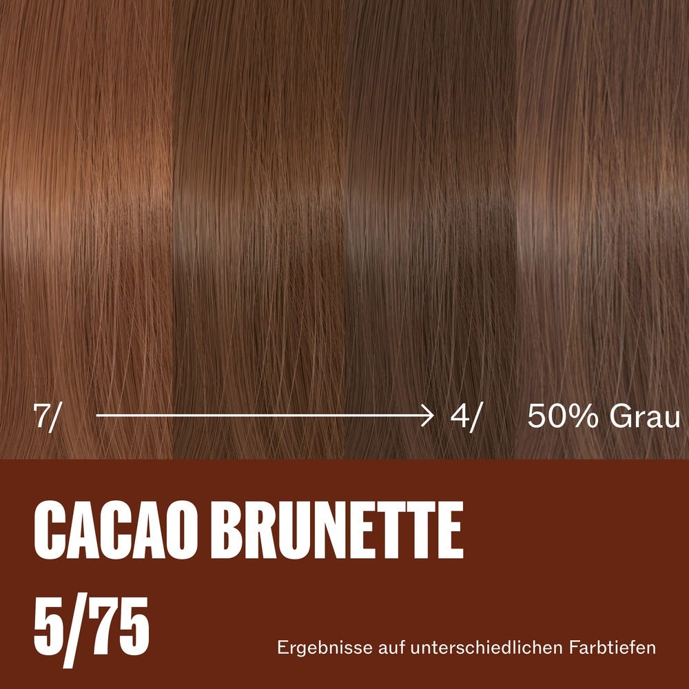 12136776-Farbe-5/75 Cacao Brunette