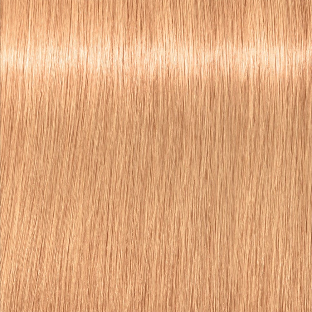 12136779-Farbe-9,5-74 Apricot Blush