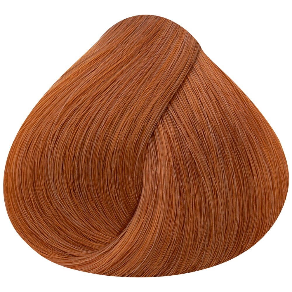 12137212-Farbe-08.4