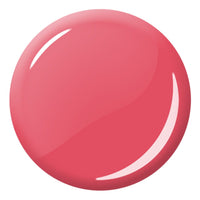 Pink Hibiscus