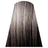 6.1 ash dark blond