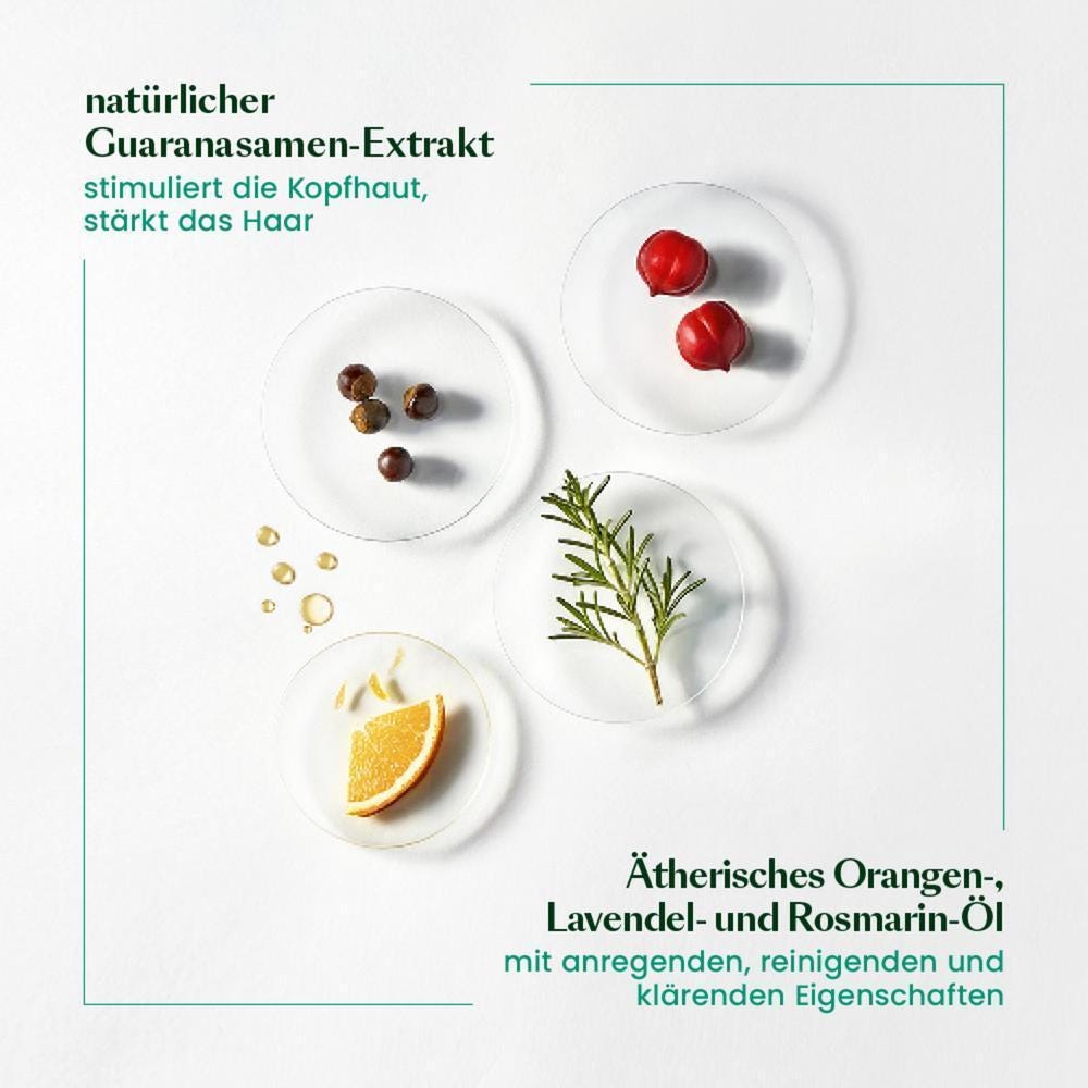 René Furterer  FORTICEA Vitalisierendes kräftigendes Shampoo 500 ml