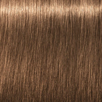 8-46 Hazelnut