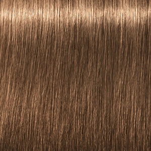 8-46 Hazelnut