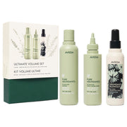 AVEDA Pure Abundance & Abundant Blowout Set
