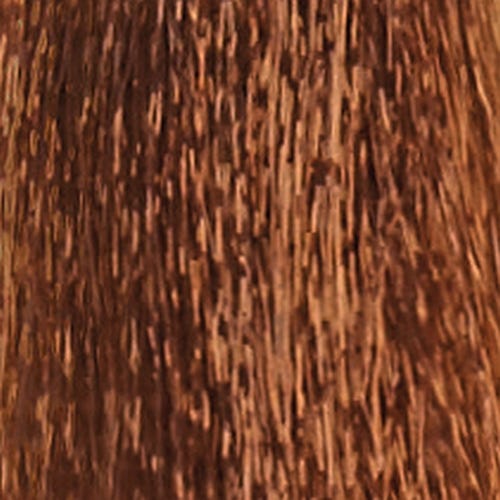 12056410-Farbe-6.3 golden dark blond