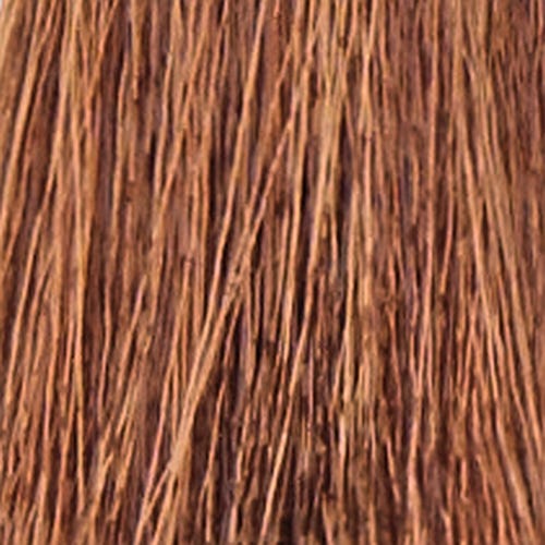 12056484-Farbe-6.413 havana