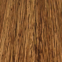 6 Natural dark blond