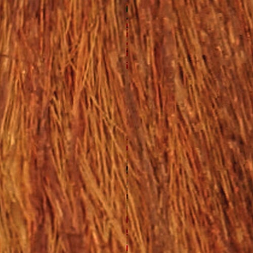 12056413-Farbe-7.34 golden copper medium blond