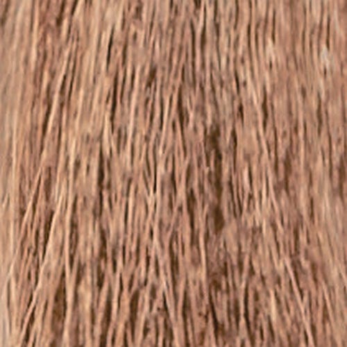 12056400-Farbe-8.13 ash gold light blond