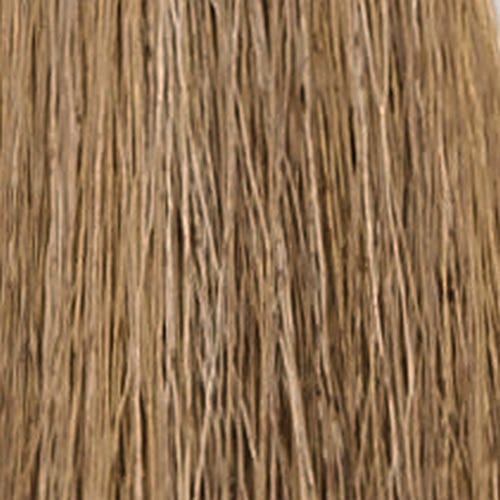 12056405-Farbe-8.1 ash light blond