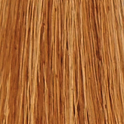 12056414-Farbe-8.3 golden light blonde