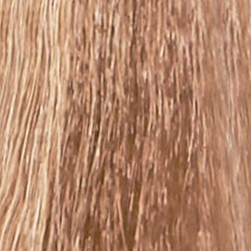 12056401-Farbe-9.13 ash gold very light blond
