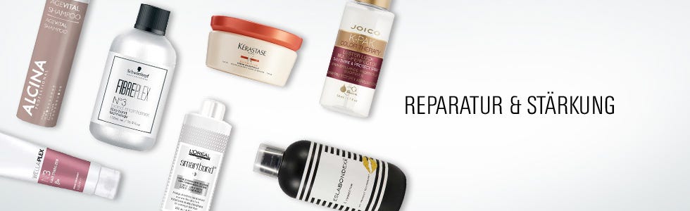 Reparatur & Stärkung Reparatur & Stärkung