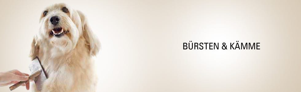 Bürsten & Kämme Bürsten & Kämme