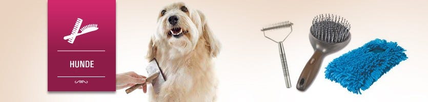  Hunde