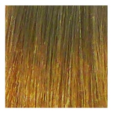 Eslx Color 9 lichtblond