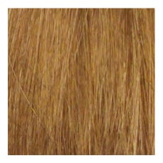 Eslx Color 9.13 lichtblond asch gold beige