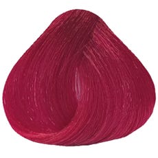 Tulip Red